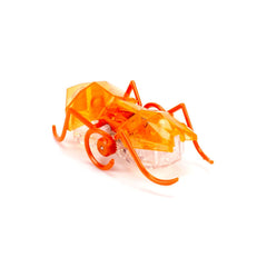 Hexbug Micro Ant Img 3 - Toyworld