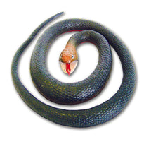 Wild Republic Red Bellied Black Snake Img 1 - Toyworld