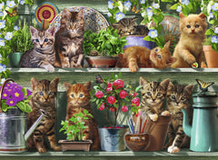 Ravensburger Cats On The Shelf Puzzle Img 1 - Toyworld