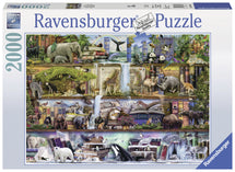 Ravensburger Wild Kingdom - Toyworld