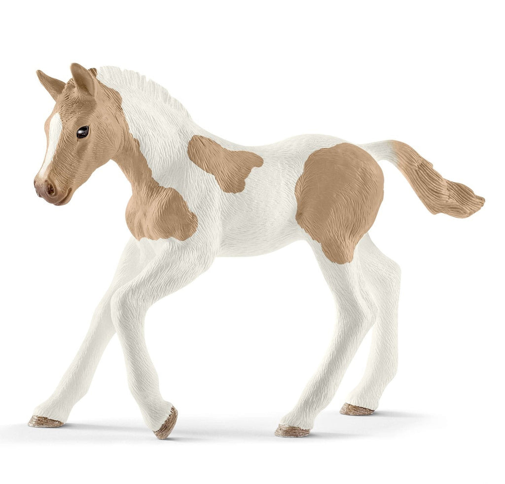 Schleich Paint Horse Foal - Toyworld