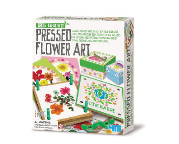 4M Craft Pressed Flower Art - Toyworld