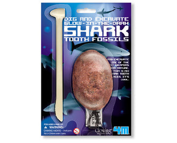 4M Dig Excavate Mini Gid Shark Tooth Fossil - Toyworld