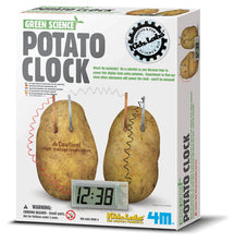 4M Science Green Potato Clock - Toyworld
