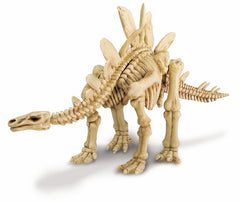 4M Science Kidz Labs Dig A Dinosaur Stegosaurus Excavation Kit Img 1 - Toyworld