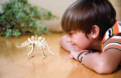 4M Science Kidz Labs Dig A Dinosaur Stegosaurus Excavation Kit Img 2 - Toyworld