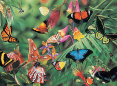 Blue Opal Wild Aust Butterflies & Beetles Img 2 - Toyworld