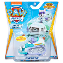 Paw Patrol Die Cast Vehicles Everest - Toyworld