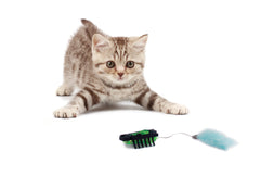 Hexbug Nano Cat Toy Green & Black Img 1 - Toyworld