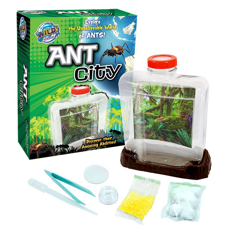 Wild Science Ant City - Toyworld