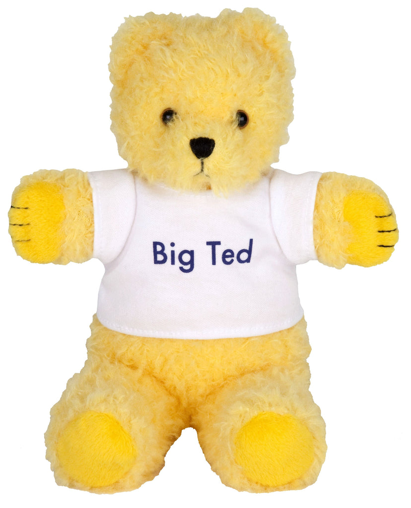 Big Ted Plush - Toyworld