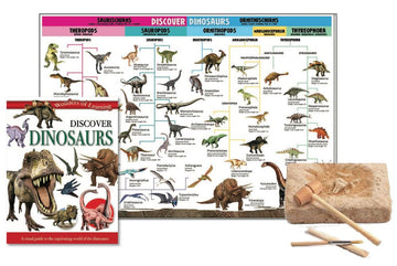 Discover Dinosaurs Tin - Toyworld