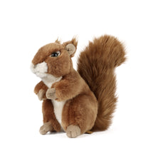 Living Nature Squirrel - Toyworld