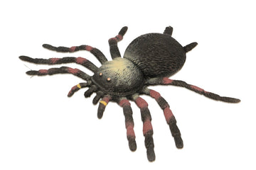 Stretchy Tarantula - Toyworld