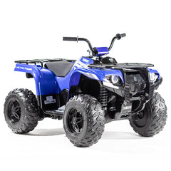 Yamaha Grizzly Atv Blue Img 2 - Toyworld