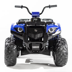 Yamaha Grizzly Atv Blue Img 1 - Toyworld