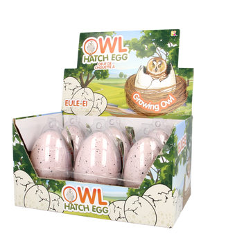 Large Owl Hatching Egg - Toyworld