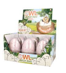 Large Owl Hatching Egg - Toyworld