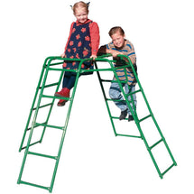Swing Climbing Frame - Toyworld