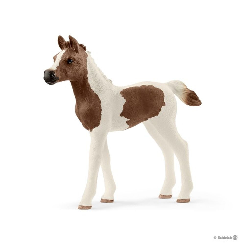 Schleich Pintabian Foal Red Dot - Toyworld