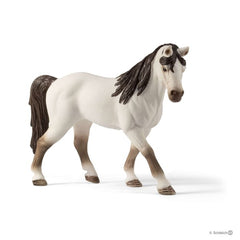 Schleich 5 Horses Collectors Pack Img 1 - Toyworld