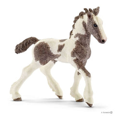 Schleich 5 Horses Collectors Pack Img 2 - Toyworld
