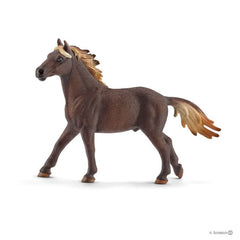 Schleich 5 Horses Collectors Pack Img 3 - Toyworld
