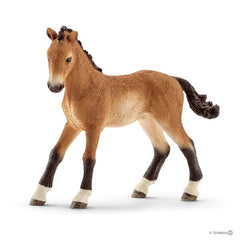 Schleich 5 Horses Collectors Pack Img 4 - Toyworld