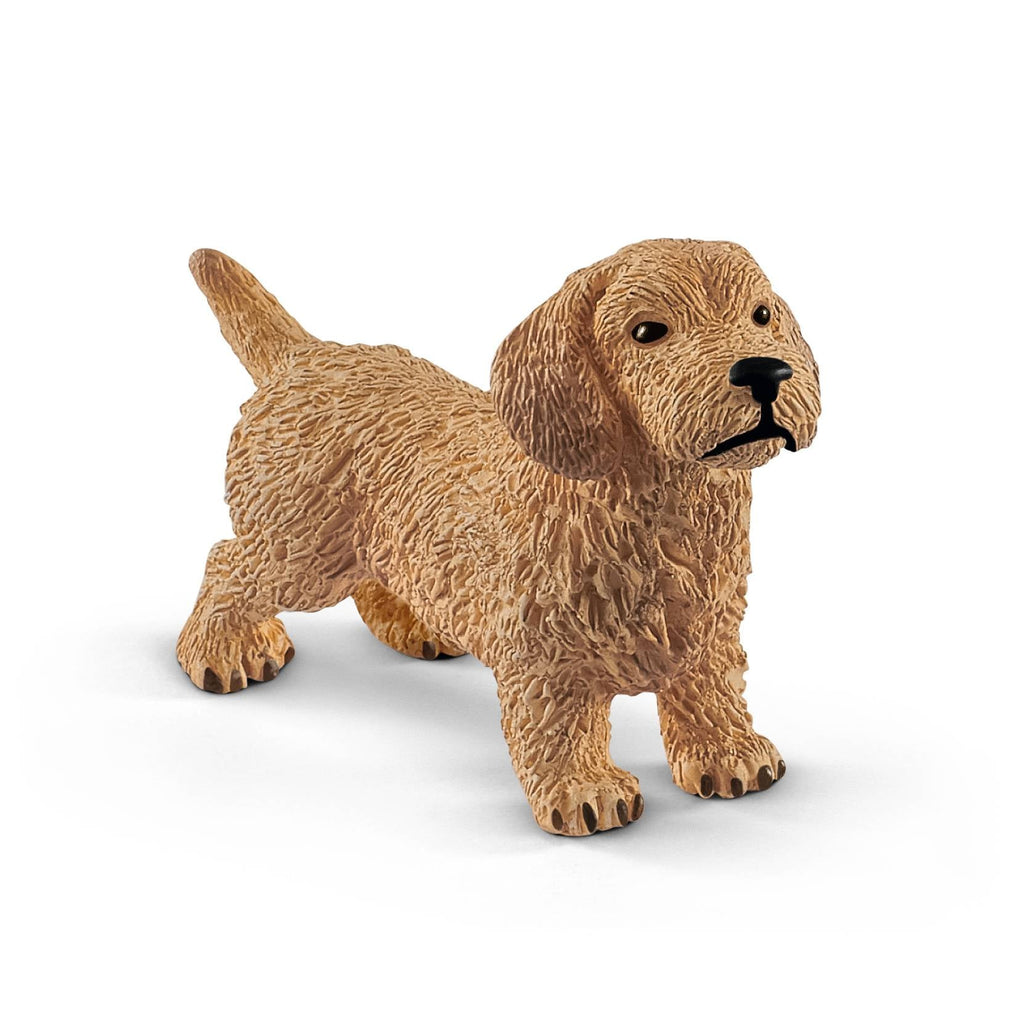 Schleich Dachshund - Toyworld