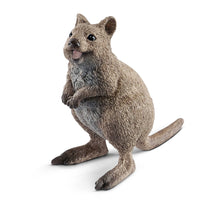 Schleich Quokka - Toyworld