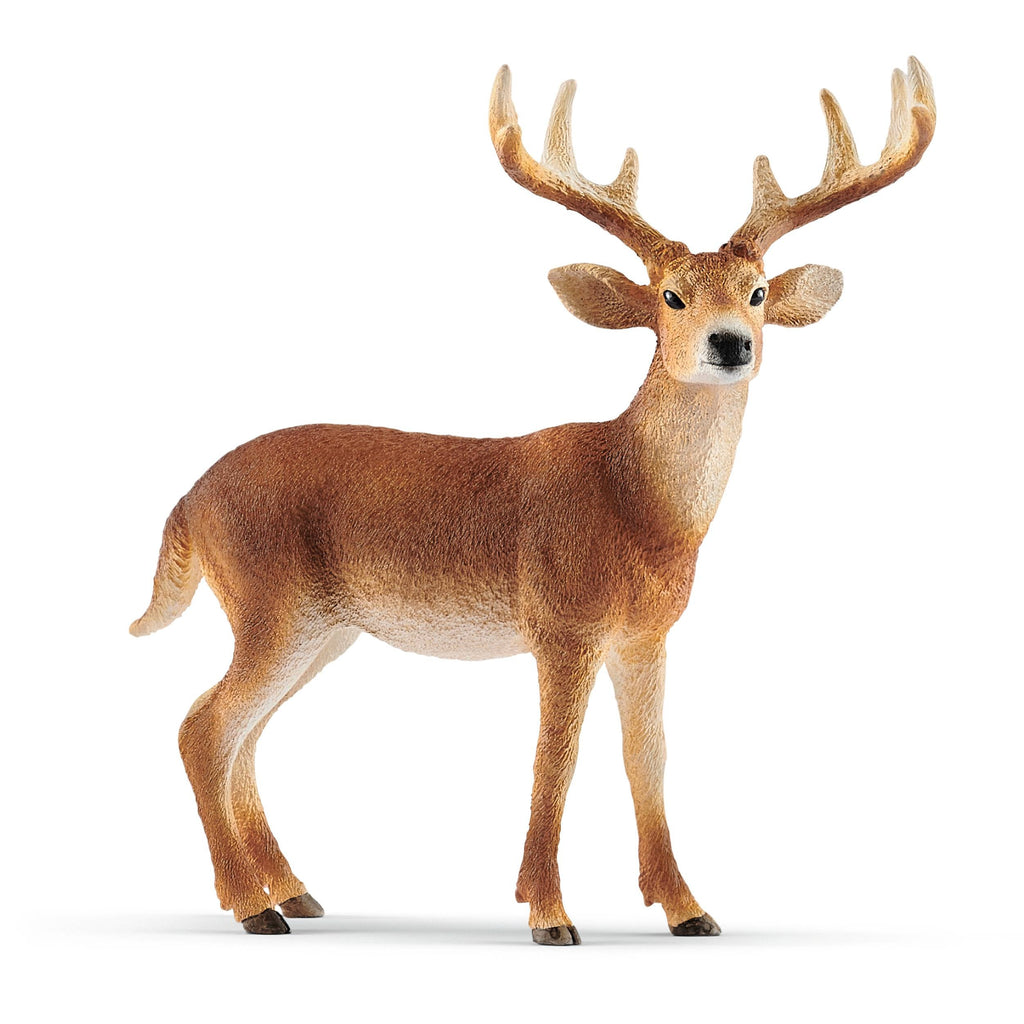 Schleich White Tailed Buck - Toyworld