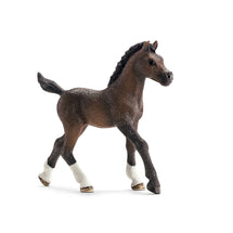 Schleich Arabian Foal 2 - Toyworld