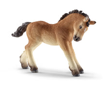 Schleich Ardennes Foal - Toyworld