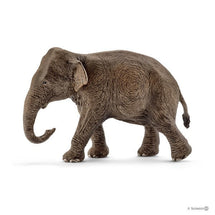 Schleich Asian Elephant Female 1 - Toyworld