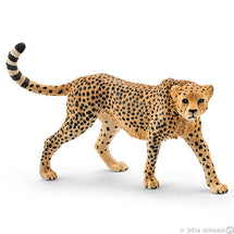 Schleich Cheetah Female 1 - Toyworld