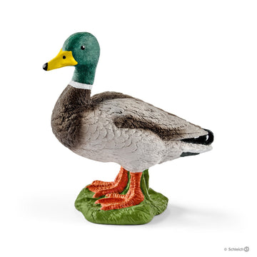 Schleich Drake - Toyworld