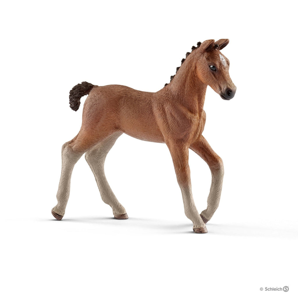 Schleich Hanoverian Foal 1 - Toyworld