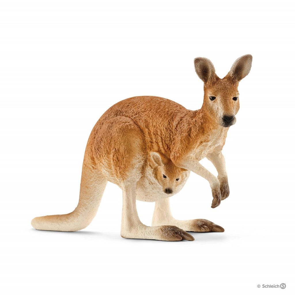 Schleich Kangaroo 1 - Toyworld