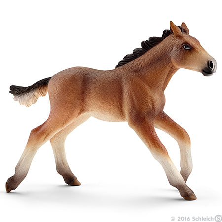 Schleich Mustang Foal - Toyworld