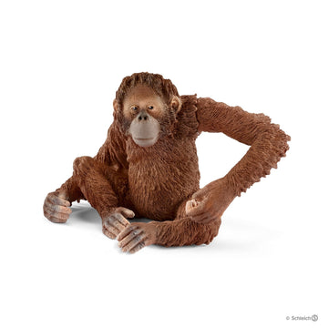 Schleich Orangutan Female - Toyworld