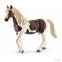 Schleich Pinto Mare 1 - Toyworld