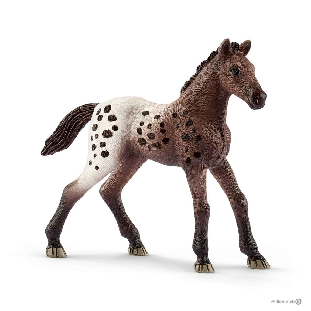 Schleich Apaloosa Foal | Toyworld