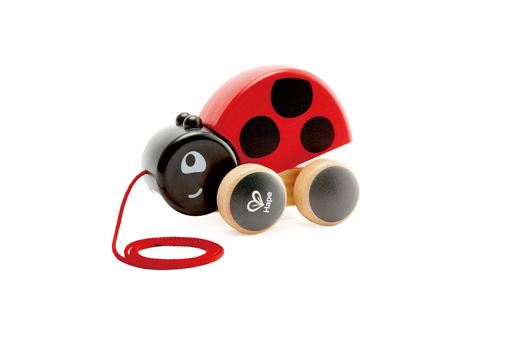 Hape Ladybug Pull Along - Toyworld