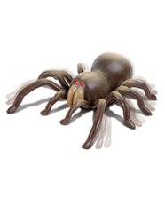 Discovery Rc Tarantula Img 2 | Toyworld