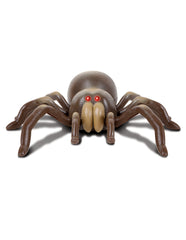 Discovery Rc Tarantula Img 1 | Toyworld