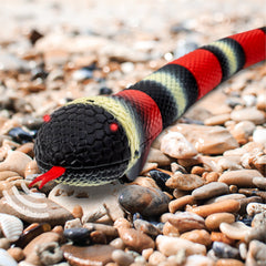 Discovery Rc King Snake Img 1 | Toyworld