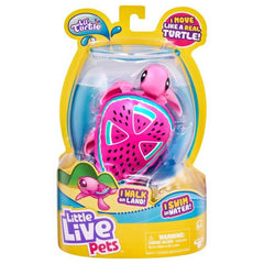 Little Live Pets Lil Turtle Single - Toyworld