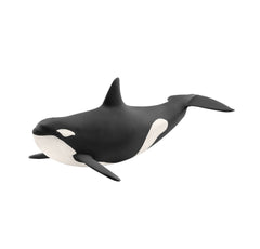 Schleich Killer Whale Brown Dot - Toyworld