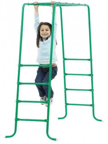 Playworld Monkey Bars - Toyworld