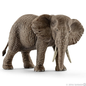Schleich African Elephant Female 1 - Toyworld